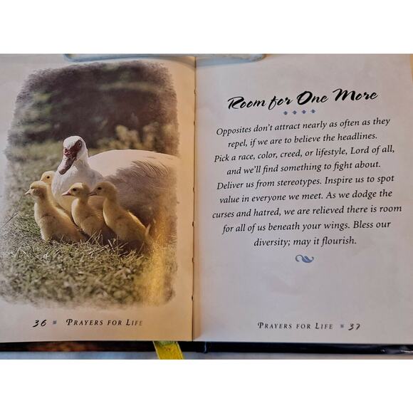 Prayers for Life by Wilde & Huffman (1999 HC no DJ) - Picture 10 of 12